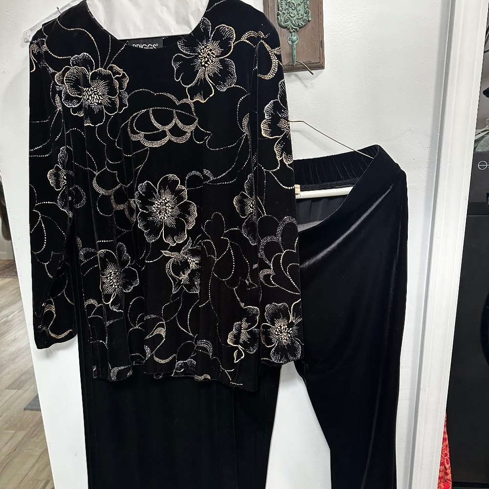 2 Piece Velour Dressy Top and Pants